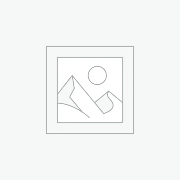 Natural Gemstone Reiki Crystal Stone Bracelet For Women